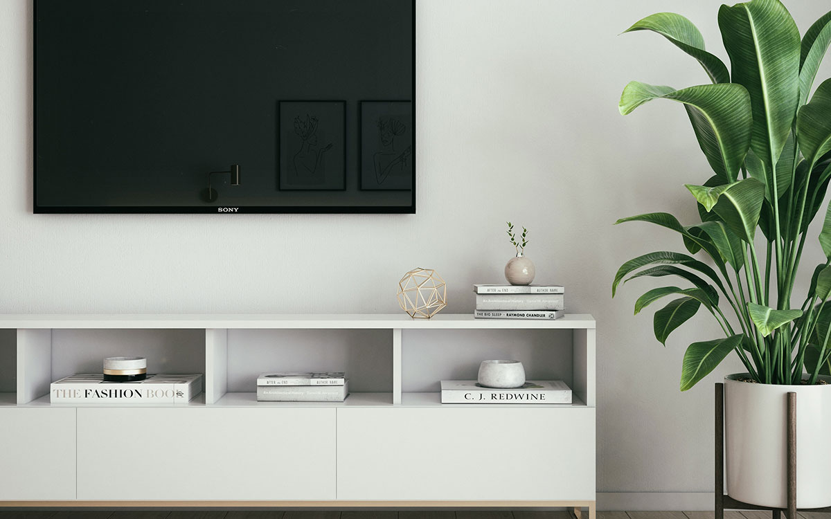House plant in living room beside TV and cabinet