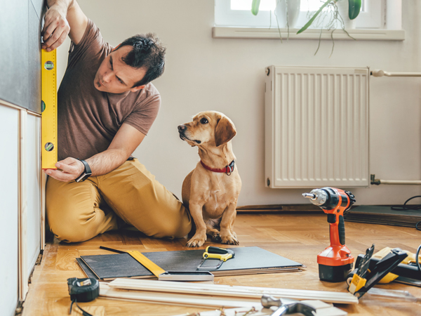 Man and his dog measuring to knock down internal walls